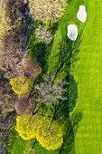 Aerial view of a golf course fairway and sand traps in early spring creating an abstract looking perspective at the Naperville Country Club in Napervile, IL - USA