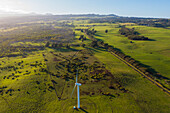 Aerial view of the Hawi Wind Farm, Hawi, North Kohala, Hawaii Island, Hawaii, United States.