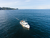 Aerial view of a commercial fisherman gill netting for salmon off of Sitka, Sitka Sound, Southeast Alaska, USA