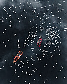 Aerial view of boats and birds on the misty Yamuna River with low clouds, Sadar Bazar, New Delhi, India.