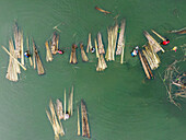 Aerial view of jute processing with workers in green water, Natore, Bangladesh.