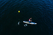 Seattle, United States - 10 June 2019: Aerial view of active paddleboarding race in beautiful Shilshole Bay, Seattle, United States.