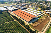 Aerial view of a cowshed, Kibbutz Saar, Israel.