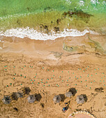 Luftaufnahme des Strandes von Betset von oben mit Plastiktüten auf dem Sand nach der Reinigung von der Ölpest, Akko, Northern District, Israel