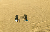 Aerial view of beautiful agricultural fields with patterns and shadows of workers, Kastail, Austagram, Bangladesh.