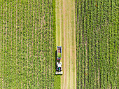 Luftaufnahme eines Traktors bei der Ernte und beim Mähen von Heu.