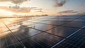 Aerial Drone view of reflective solar panels during sunset, green energy farm, The Netherlands.