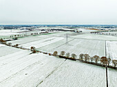 Aerial view of countryside of De Peel with meadows, roads with trees and power lines, covered with some snow, Ospel, Limburg, Netherlands.