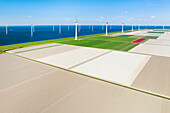 Aerial view of farmland and wind farm along IJsselmeer dike, Noordoostpolder, Flevoland, Netherlands.