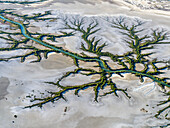 Aerial view of wetlands, river, sand, marshland, and creek in Accident Inlet, Gulf of Carpentaria, Karumba, Queensland, Australia.
