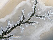 Aerial view of water, sand, river, and branches at Accident Inlet, Gulf of Carpentaria, Karumba, Queensland, Australia.
