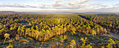 Aerial panorama of mixed forest and open field with frost during winter, Amerongse Berg, national park Utrechtse Heuvelrug, Utrecht, Netherlands.