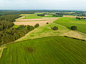 Aerial view of hilly farmland along forest Bergherbos, Beek, Montferland, Gelderland, Netherlands.