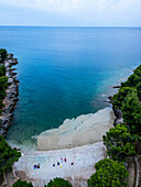 Aerial view of a picturesque beach with algae accumulation and turquoise sea, Pula, Croatia.