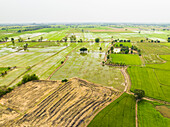 Luftaufnahme von Ackerland mit bewässerten Reisfeldern, Nakhon Luang, Provinz Ayutthaya, Thailand.