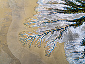 Aerial view of river delta with branches and sand, Accident Inlet, Gulf of Carpentaria, Karumba, Queensland, Australia.