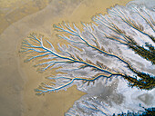 Aerial view of river delta with organic tree-like forms and blue water, Accident Inlet, Gulf of Carpentaria, Karumba, Queensland, Australia.