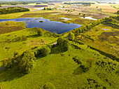 Aerial view of grassland, trees, grazing cows and lakes in nature recovery area Scharreveld, Westerbork, Drenthe, Netherlands.
