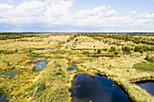 Aerial view of peat bog, lakes and trees, Engbertsdijksvenen, Twente, Netherlands