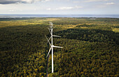 Aerial drone view of wind turbines in a tropical forest, Bras d'Eau National Park, Flacq, Mauritius.