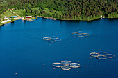 Luftaufnahme eines wunderschönen Süßwassersees, umgeben von üppigem Grün und Fischernetzen, Rhodopen, Russland