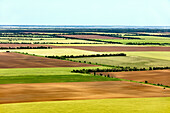 Luftaufnahme von schönen grünen landwirtschaftlichen Feldern auf dem Land, Oblast Rostow, Russland.