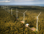 Aerial drone view of wind turbines in a tropical forest, Bras d'Eau National Park, Flacq, Mauritius.
