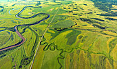 Luftaufnahme eines sich durch üppig grüne Felder und strukturierte Feuchtgebiete schlängelnden Flusses, Oblast Omsk, Russland.