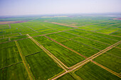 Aerial view of beautiful green farmland with patterns and lines in the tranquil countryside, Krasnodar Territory, Russia.
