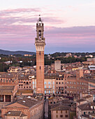 Luftaufnahme der wunderschönen mittelalterlichen Architektur und der historischen Türme in der Altstadt von Siena, Italien.