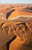 Luftaufnahme von Sanddünen in der Namib-Wüste. Die Kameldornbäume (Acacia erioloba) wachsen entlang des trockenen Flussbettes des Tsauchab-Flusses. Am Abend, Namib-Naukluft-Nationalpark, Namibia.