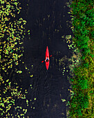 Aerial view of travel person paddling in wild river with red kayak, shot in Labanoras, Lithuania.