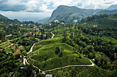Luftaufnahme einer Teeplantage auf einem Hügel nahe der Stadt Ella, Sri Lanka.