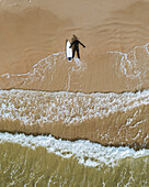Aerial view of surfer lying down on the Baltic sea beach with surf board in Klaipeda, Lithuania.