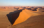 Luftaufnahme von Sanddünen in der Namib-Wüste. Die Kameldornbäume (Acacia erioloba) wachsen entlang des trockenen Flussbettes des Tsauchab-Flusses. Am Abend, Namib-Naukluft-Nationalpark, Namibia.