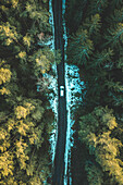 Luftaufnahme von oben auf ein silbernes Auto, das im Wald in der Nähe von Kaunas, Litauen, abseits der Straße fährt.