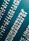 Luftaufnahme von Segelbooten, die im Hafen von Montrose in der Nähe von Chicago, Illinois, USA, vor Anker liegen.