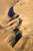Luftaufnahme von Sanddünen und Kameldornbäumen (Acacia erioloba) in einem trockenen Flussbett in der Namib-Wüste. Luftaufnahme. Namib-Naukluft-Nationalpark, Namibia.