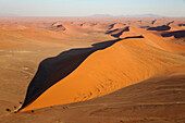 Luftaufnahme von Sanddünen in der Namib-Wüste. Die Kameldornbäume (Acacia erioloba) wachsen entlang des trockenen Flussbettes des Tsauchab-Flusses. Am Abend, Namib-Naukluft-Nationalpark, Namibia.