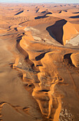 Luftaufnahme von Sanddünen in der Namib-Wüste. Die Kameldornbäume (Acacia erioloba) wachsen entlang des trockenen Flussbettes des Tsauchab-Flusses. Am Abend, Namib-Naukluft-Nationalpark, Namibia.