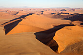 Luftaufnahme von Sanddünen in der Namib-Wüste. Die Kameldornbäume (Acacia erioloba) wachsen entlang des trockenen Flussbettes des Tsauchab-Flusses. Am Abend, Namib-Naukluft-Nationalpark, Namibia.