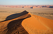 Luftaufnahme von Sanddünen in der Namib-Wüste. Die Kameldornbäume (Acacia erioloba) wachsen entlang des trockenen Flussbettes des Tsauchab-Flusses. Am Abend, Namib-Naukluft-Nationalpark, Namibia.