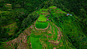 Luftaufnahme der Maligcong Reisterrasse, Banaue, Ifugao, Philippinen.
