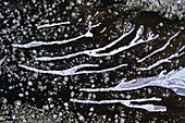 Aerial view of ice floes formations in Neman river in winter time near Kaunas, Lithuania.