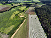 Aerial view of asparagus harvest at Oderbruch, Brandenburg, Germany.
