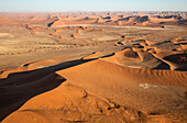 Luftaufnahme von Sanddünen in der Namib-Wüste. Die Kameldornbäume (Acacia erioloba) wachsen entlang des trockenen Flussbettes des Tsauchab-Flusses. Am Abend, Namib-Naukluft-Nationalpark, Namibia.