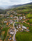 Luftaufnahme einer Straße, die sich zwischen Teeplantagen in der Nähe von Nuwara Eliya, Sri Lanka, windet.