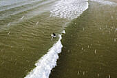 Aerial view of surfer waiting for the waves in Baltic sea during snowstorm in Spring time, Klaipeda, Lithuania.