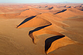 Luftaufnahme von Sanddünen in der Namib-Wüste. Die Kameldornbäume (Acacia erioloba) wachsen entlang des trockenen Flussbettes des Tsauchab-Flusses. Am Abend, Namib-Naukluft-Nationalpark, Namibia.