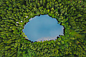 Aerial view of tiny round ice age lake in the middle of the Autumn forest near Moletai, Lithuania.